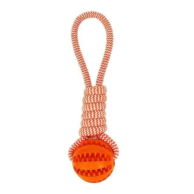 Durable Rubber Ball Chew Toy with Cotton Rope - Paw Perfect Pals