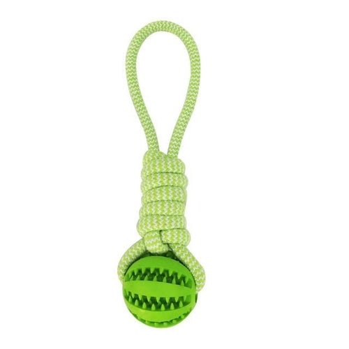 Durable Rubber Ball Chew Toy with Cotton Rope - Paw Perfect Pals
